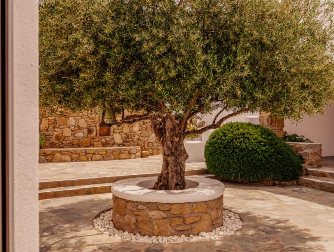 Hotel Soho Roc House Mykonos Paraga  Pokoj fotografie